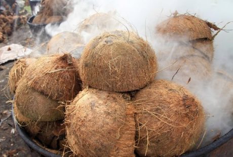 cara mengupas batok kelapa