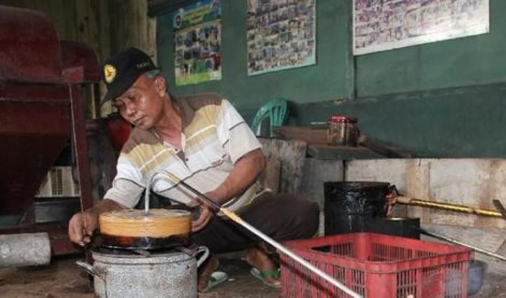 manfaat asap cair tempurung kelapa