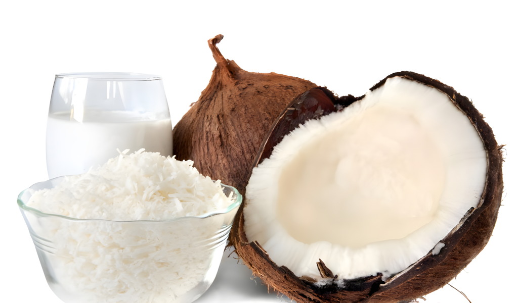 peluang bisnis santan kelapa