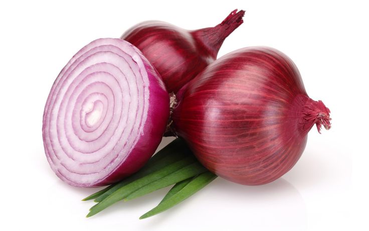 resiko usaha bawang merah