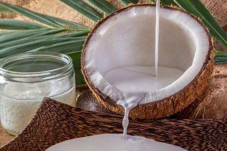 usaha santan kelapa instan