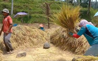 makanan tradisional berbahan padi
