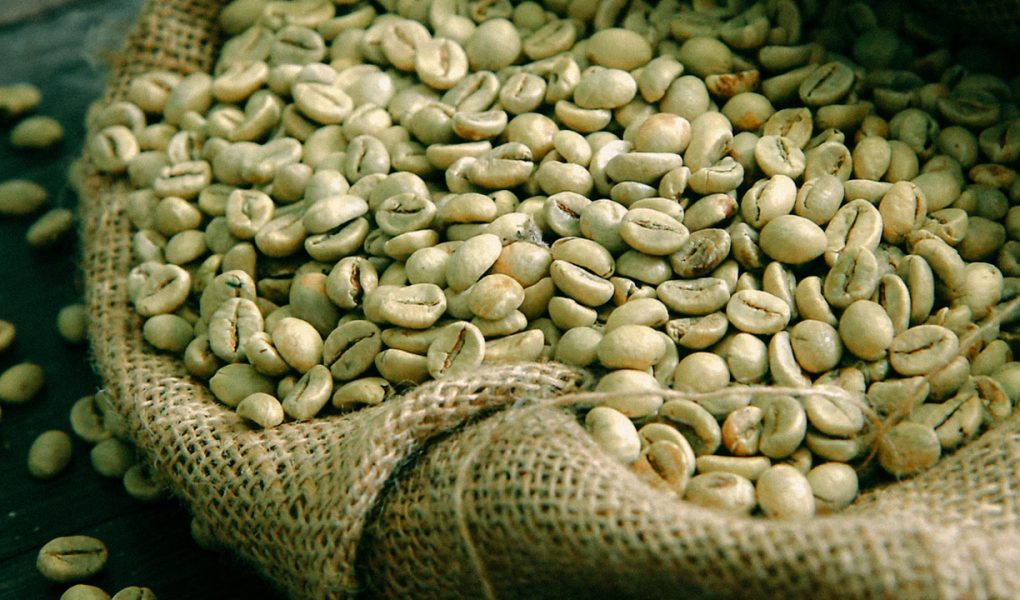 Tips Simpan Green Bean