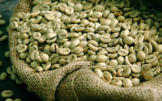Tips Simpan Green Bean