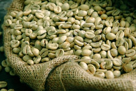 Tips Simpan Green Bean